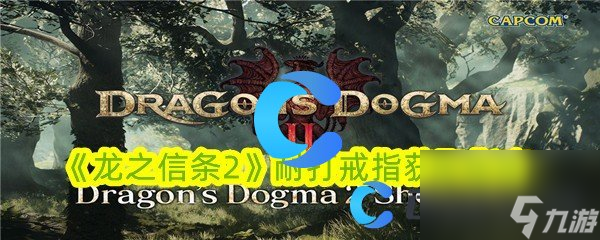 j9九游会《龙之信条2》耐打戒指获取指南